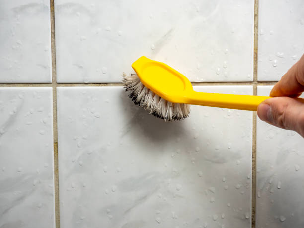 Best Same-Day Mold Removal  in Wellsburg, WV