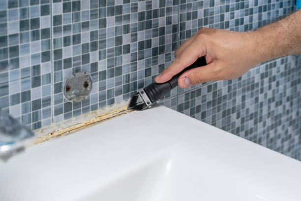 Best Mold Remediation  in Wellsburg, WV
